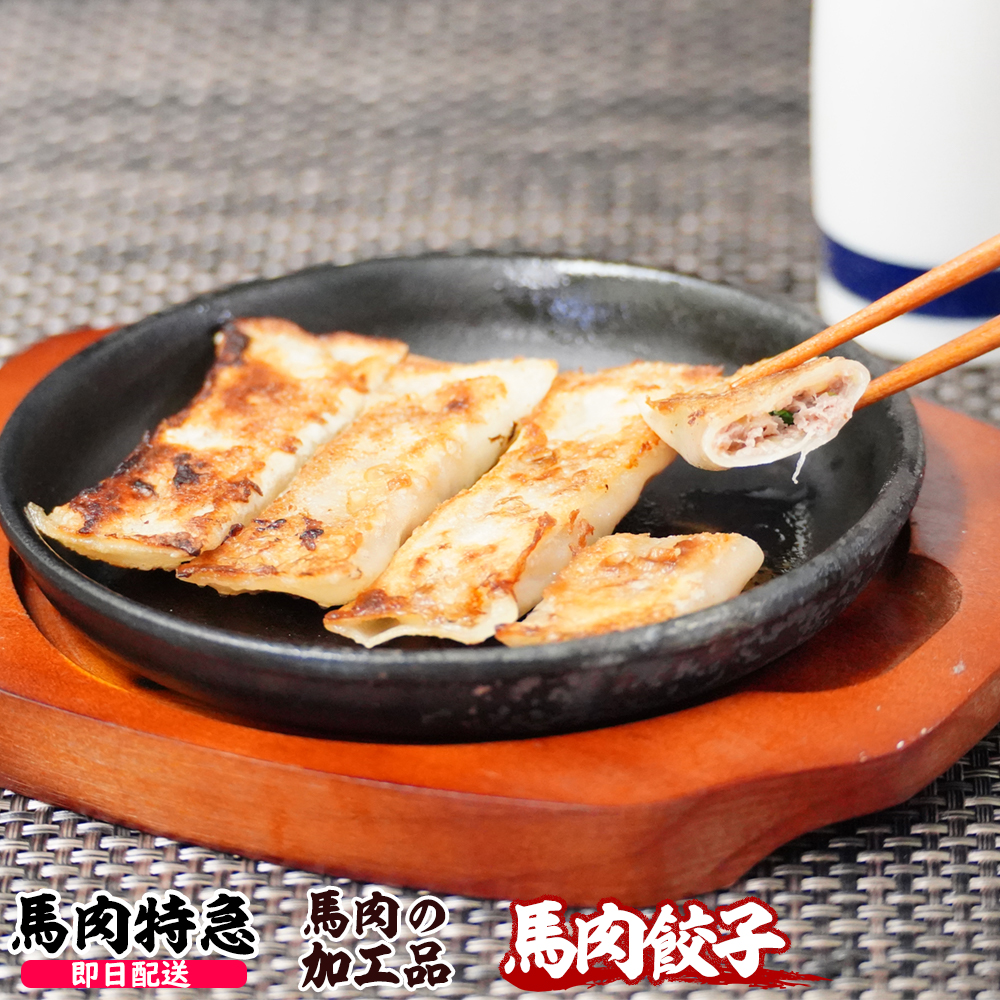 馬肉特急 新鮮馬肉 馬肉餃子 450g(15g×30個)
